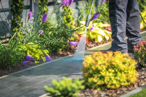 Best House Exterior Washing  in Antelope, CA